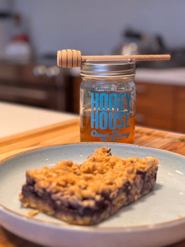 Blueberry Honey Oat Bars