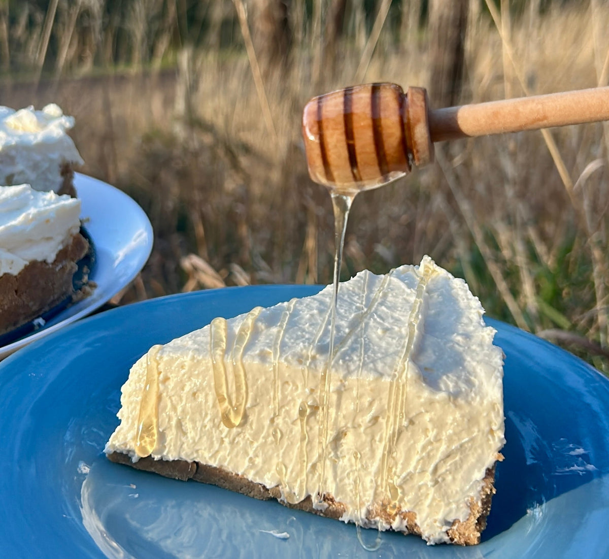 Honey Cheesecake with Clover Honey